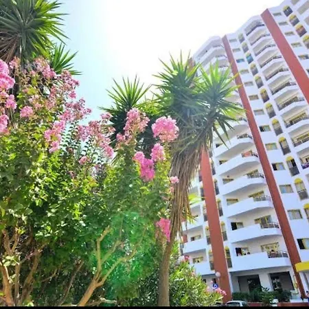 Da Rocha 3 * Portimao